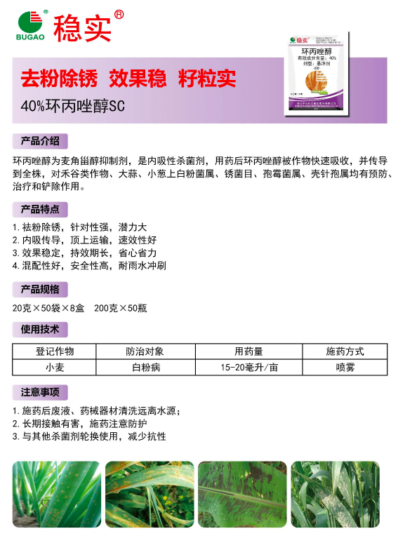 稳实