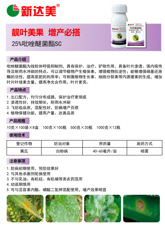 新达美