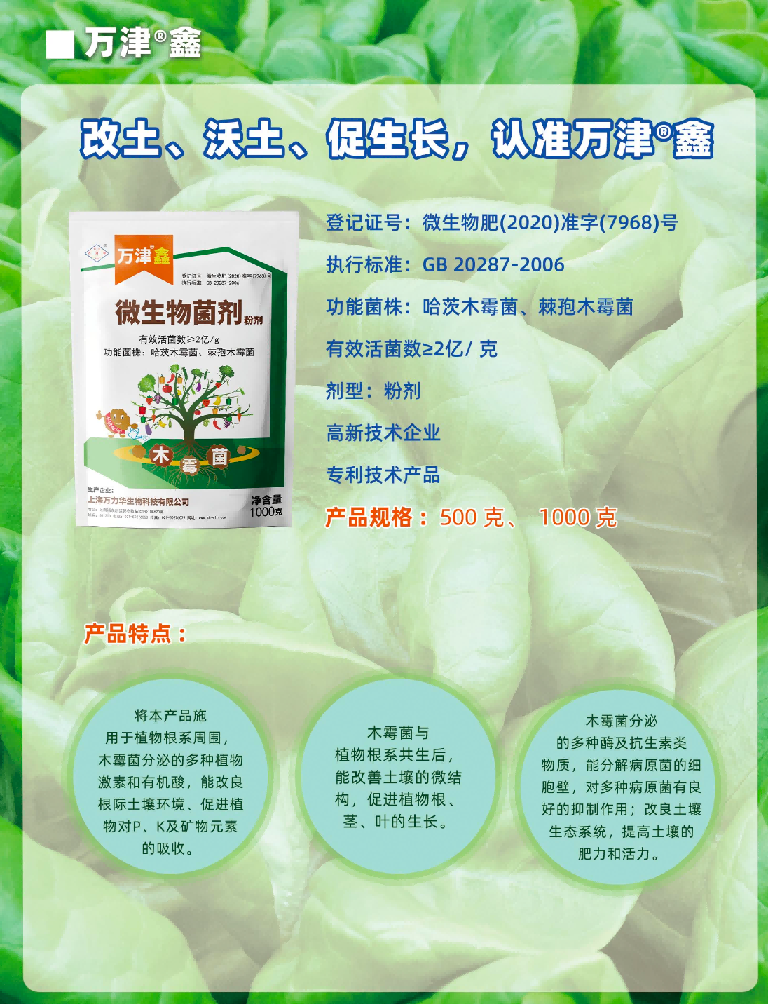 万津鑫