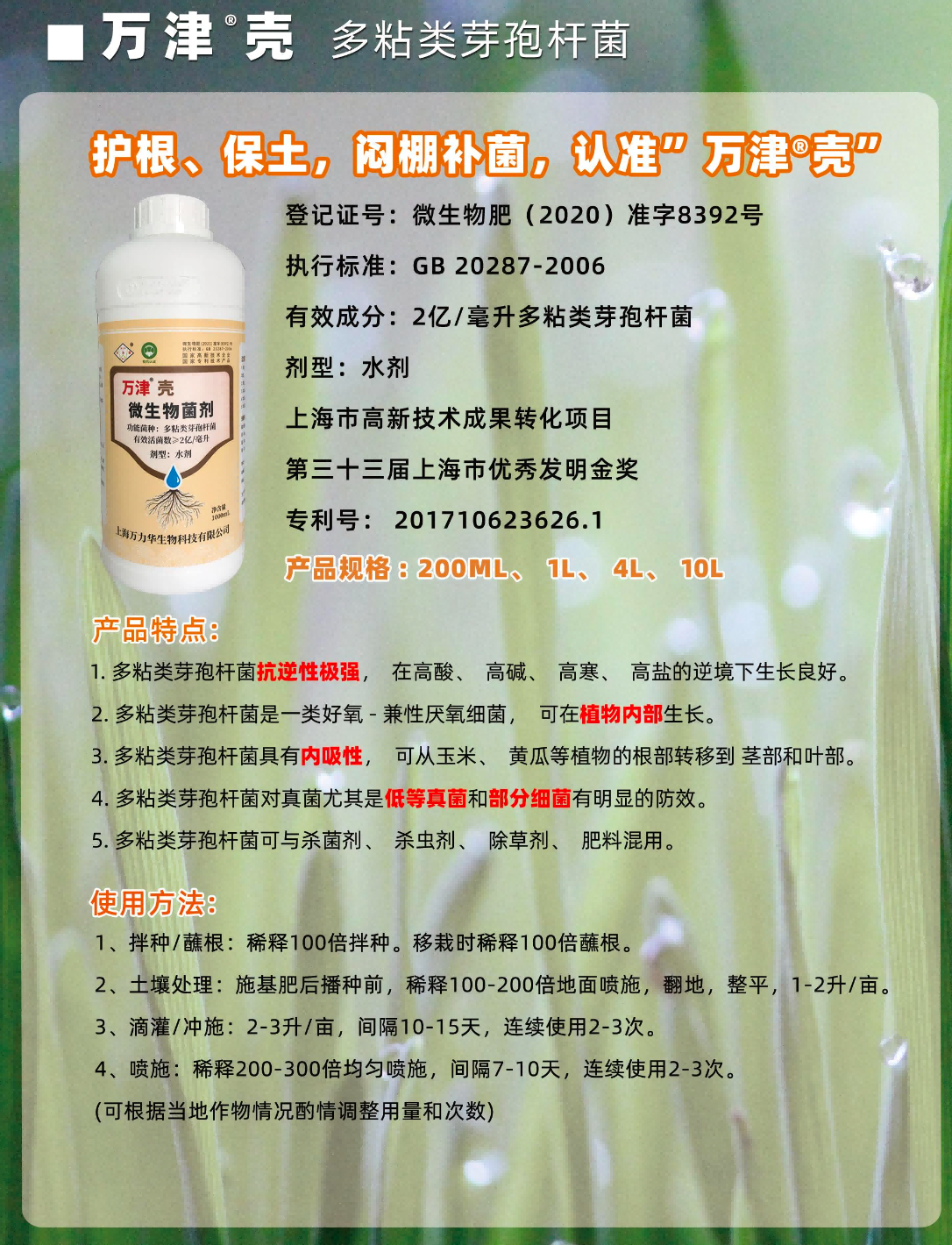 万津壳