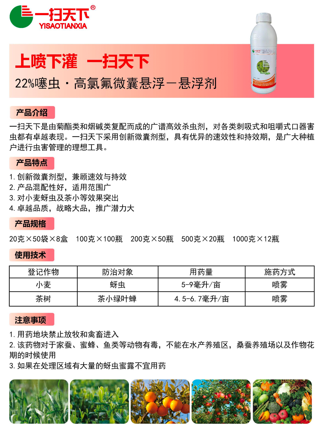 一扫天下